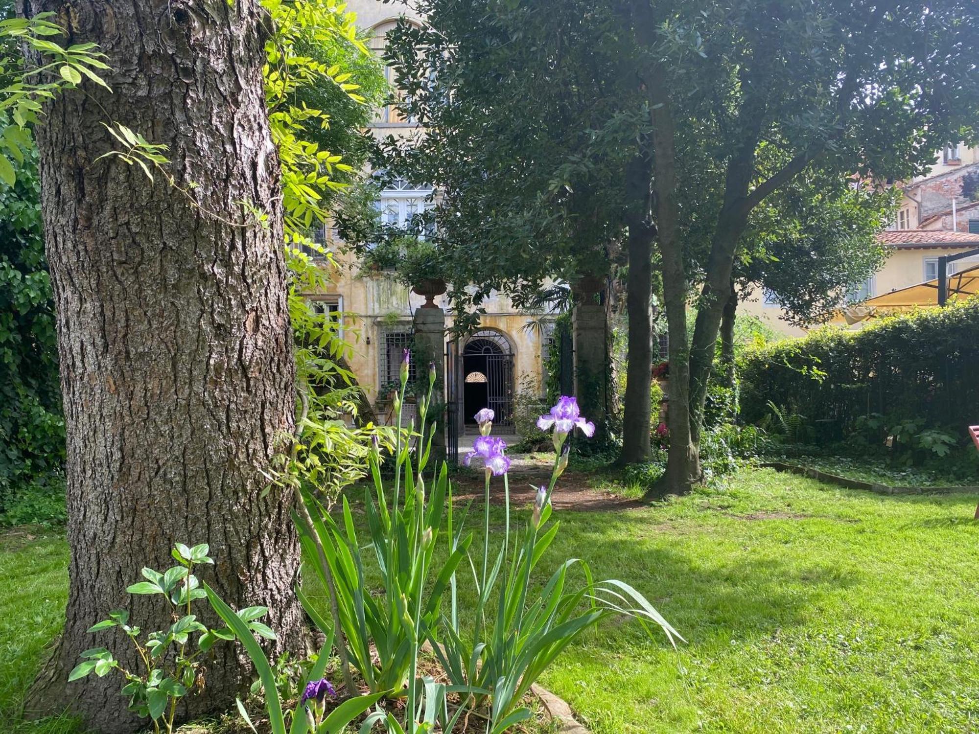 Corte Meraviglia - Relais Lucca Exteriér fotografie